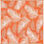 Tapis d'extérieur-1778158181-1778158183