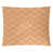 Light Orange