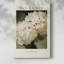 Impression sur toile encadrée-617812158