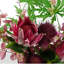 Artificial Arrangement-106401535