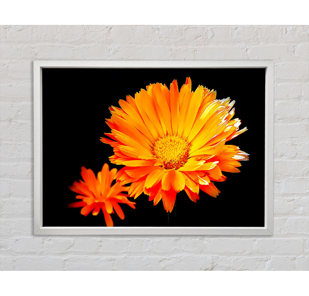 Vibrant Orange Gerberas - Einzelne Bilderrahmen Kunstdrucke auf Leinwand