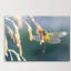 Print on Canvas-23990869