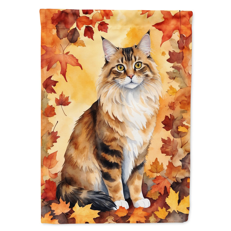 Chat en feuilles d'automne, Cymric