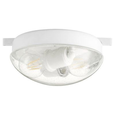 Ensemble de 2 lumières de globe à ventilateur de plafond universel 2 lumières