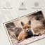 Petit renard brun-107673228