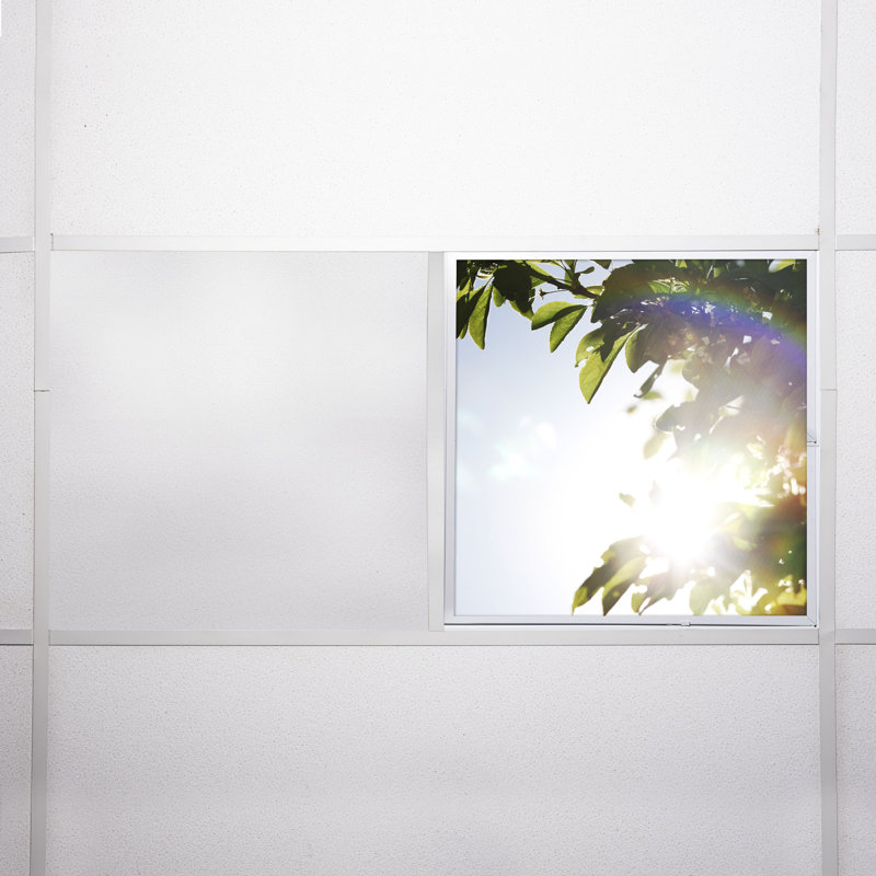 Tree Square Fixture Component Ceiling Light