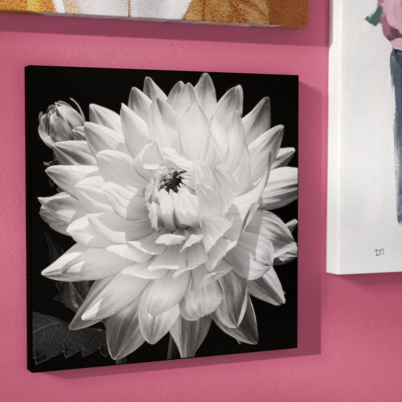«White Dahlia II», impression sur toile, H 18 po x l 18 po x p 1,5 po, Toile tendue, Pas de tapis