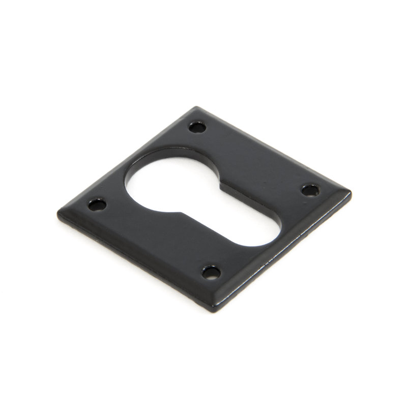 Avon Euro Escutcheon Door Accessory, Black