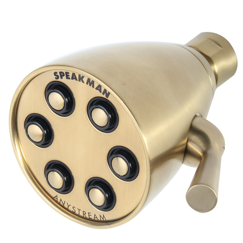 Icon Anystream Multi Function Adjustable Shower Head, Satin Brass, 2.0 GPM