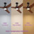 41” 3 - Blade Standard Ceiling Fan With Remote Control And Light