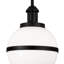 Brigands 1 - Light Pendant