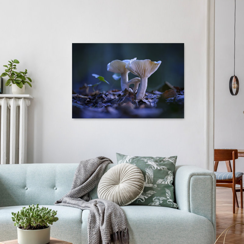 Champignons de la forêt tranquille - Affiche murale délicate, biologique et paisible représentant une forêt d'automne
