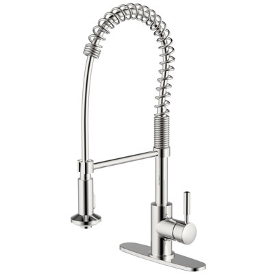 CMI Pull Down Kitchen Faucet