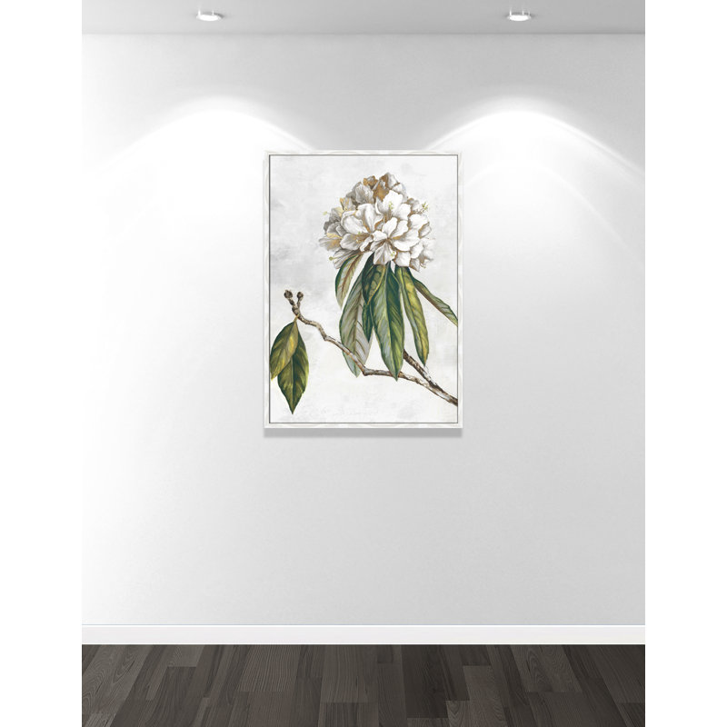 «Pearly Beauty II» par Eva Watts, Grain de bois blanc, L 29,5 po x H 41,5 po, Impression encadrée