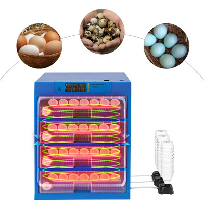 Multi-Species Digital Egg Incubator Automatic Turning Poultry Hatcher General Purpose Incubator for Chicken Duck Goose Quail