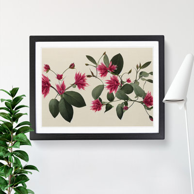 Serene Flowers - Framed Print