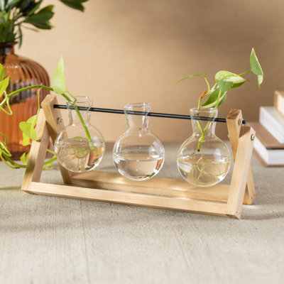 Terrarium avec vase en verre et base en bois, H 11 po