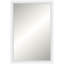 Summercove Solid Wood Mirror-815264831-815264830