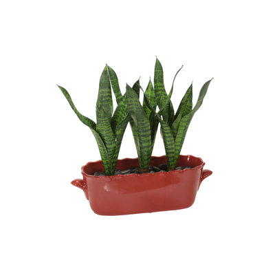 19 " H Faux Snake Plant in Ceramic Decorative Vase