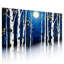 Tableau sur toile tendue « Forêt de bouleaux au clair de lune » (Ensemble de 3)-872203062