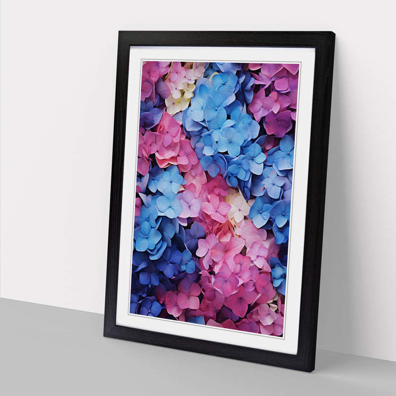 Hydrangea Colour Field - Framed Print, Black Framed, 46cm H x 34cm W x 2cm D