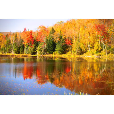 Brilliant Fall In Vermont - Wrapped Canvas Print