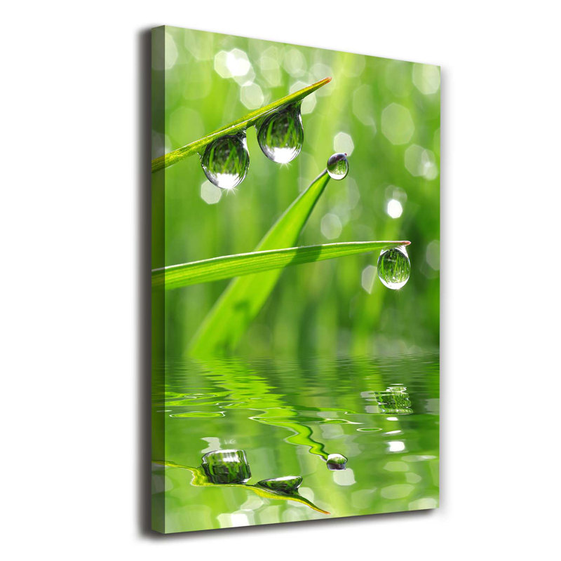 Blades Of Grass - Wrapped Canvas Print