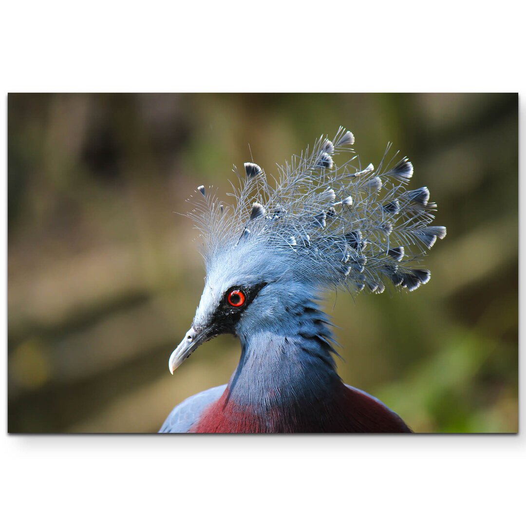 Leinwandbild Blauer Pfau