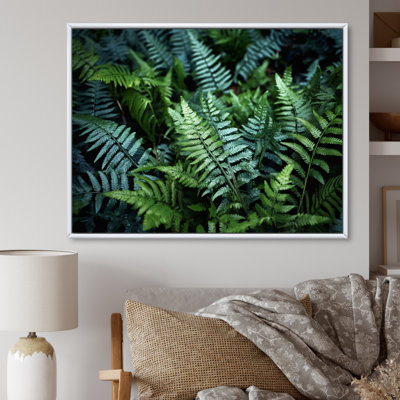 «Green Fern Scenery IV», reproduction sur toile