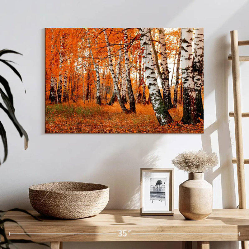 Forêt de bouleaux Harnek Autumn, H 16 po x l 24 po