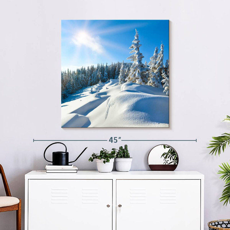 Alvord journée ensoleillée d'hiver