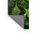 Machine Washable Nature Green Area Rug-1636693192
