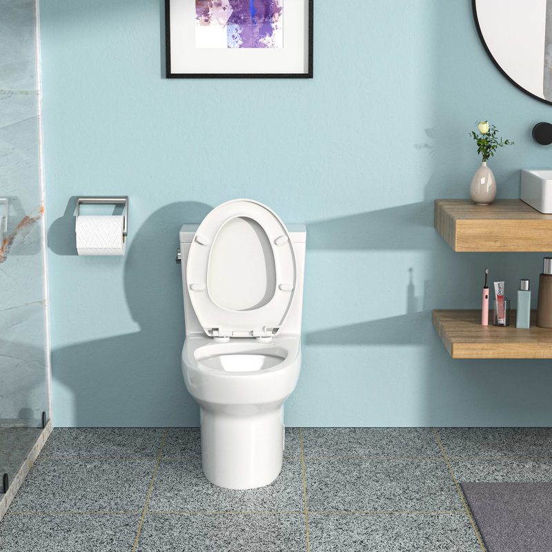 Ceramic Toilet One Piece - Hygienic Flush, Comfortable Height, White, 29.9 In. Deep X 16.02 Wide 29.3 Tall Modern Seat, Quiet D W H