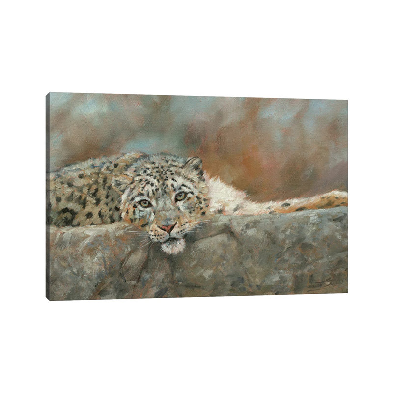 Snow Leopard Repose by David Stribbling - Wrapped Canvas Print, 20.32 cm H x 30.48 cm W
