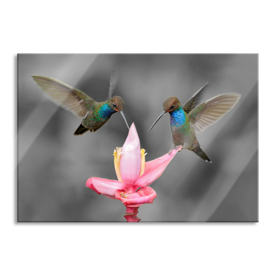 Glasbild Kolibris in den Tropen