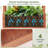 Cerina Wood Raised Garden Bed