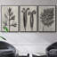 Blossfeldt Botanical I 3 pièces-97758452-97758449