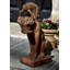 Dog Garden Statue-13913914