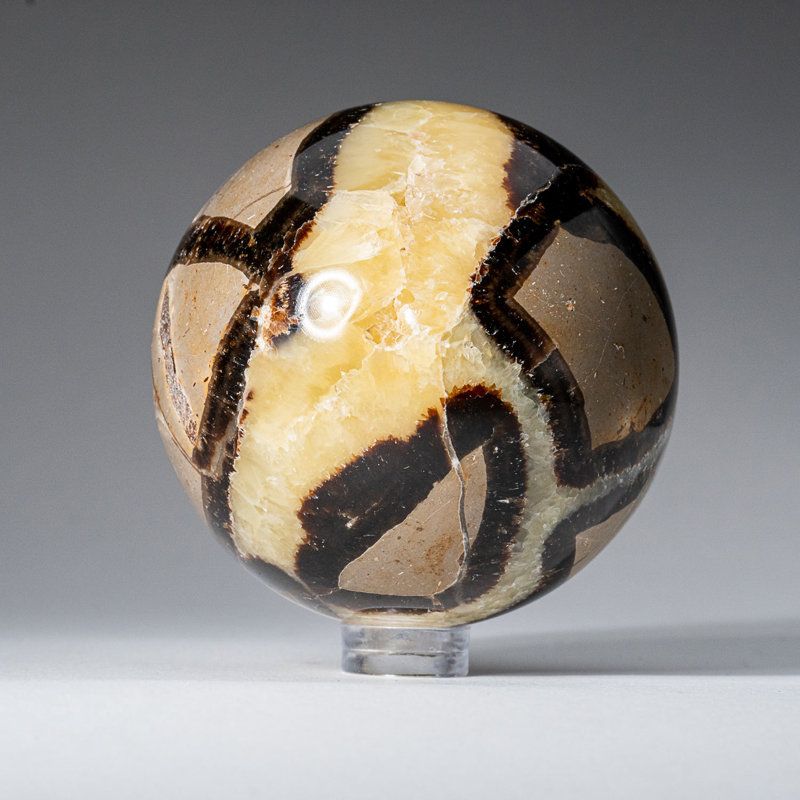 Genuine Polished Septarian (2") Sphere from Madagascar, 2" H x 2" W x 2" D, Yellow/ Gray