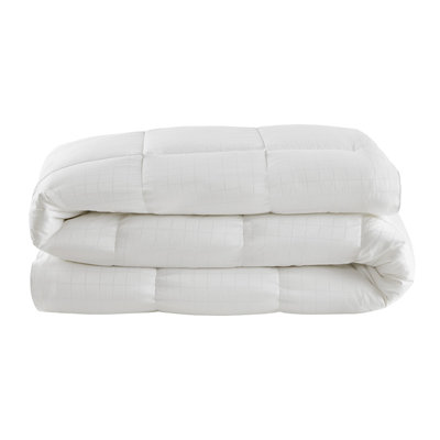 Cotton Premium Comforter 