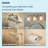 Ignite 2.5 GPM 5 Function Handheld with Bracket-357512652