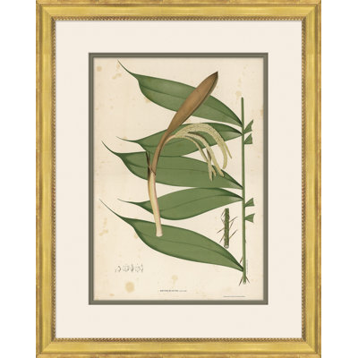 «Palm Leaves 3», peinture sur cadre