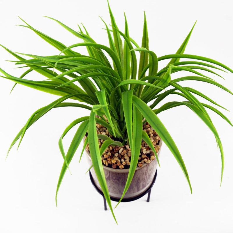 Anjeli 35cm Faux Foliage Plant in Ceramic Pot