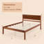 Lit Aneeya-1066105239-1066105232