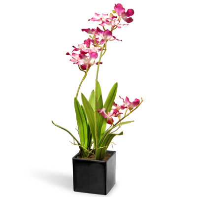Orchidée mauve 16 po