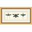 Specimen Trio 4 Print by Lillian August
