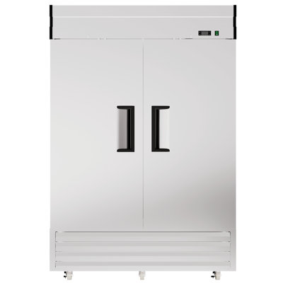 Bluelinetech 49 Cubic Feet Reach-In Freezer - 54.1''