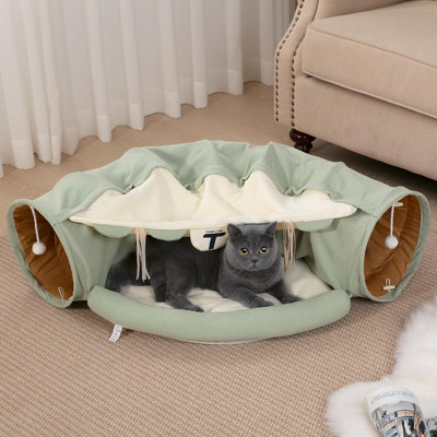 Domna Cat Perch
