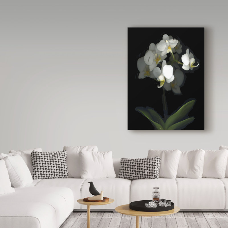 «Mini White Orchids» par Dosta, impression sur toile tendue, H 19 po x l 14 po x P 2 po
