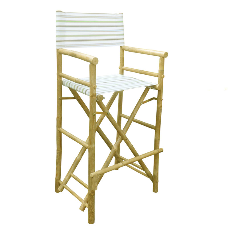 Folding Director Chair